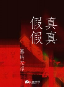 真真假假假假真真